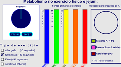 Metabolismo exerccio fsico e jejum