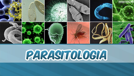 Resultado de imagem para parasitologia