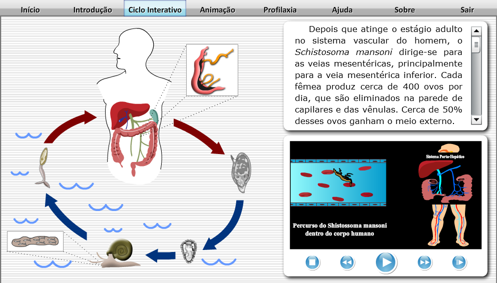 Schistosoma Mansoni